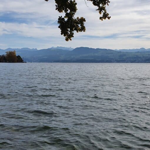 Karim swimming in Lake Zurich